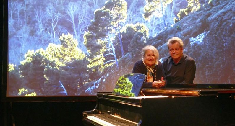 Aller voir le spectacle de « Seuls les Arbres »