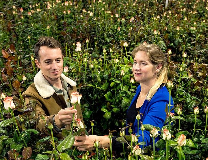 Offrir des fleurs coupées ? Oui mais…