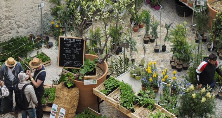 Fêter les plantes au MuCEM