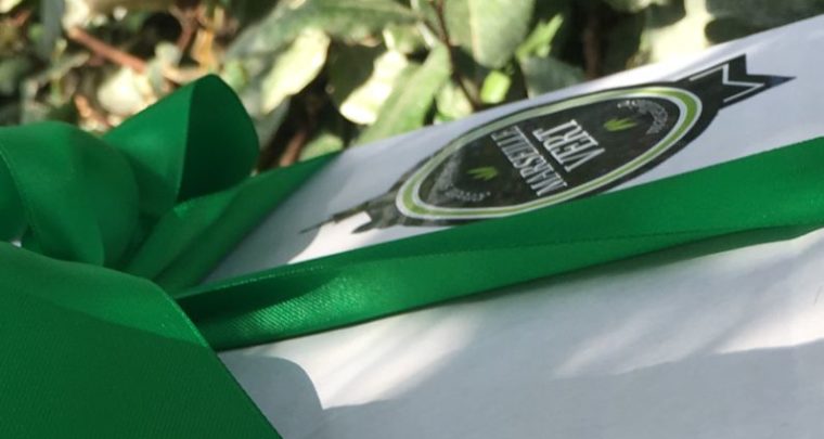 Une Box Marseille Vert pour un cadeau cet été ?