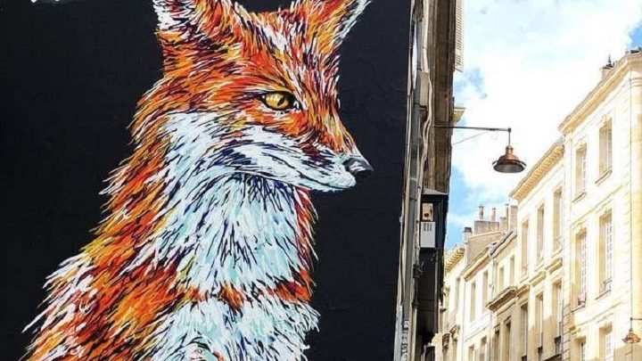 A-MO, street-artiste pour les animaux