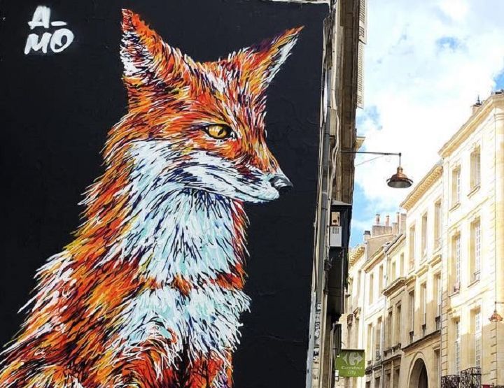 A-MO, street-artiste pour les animaux