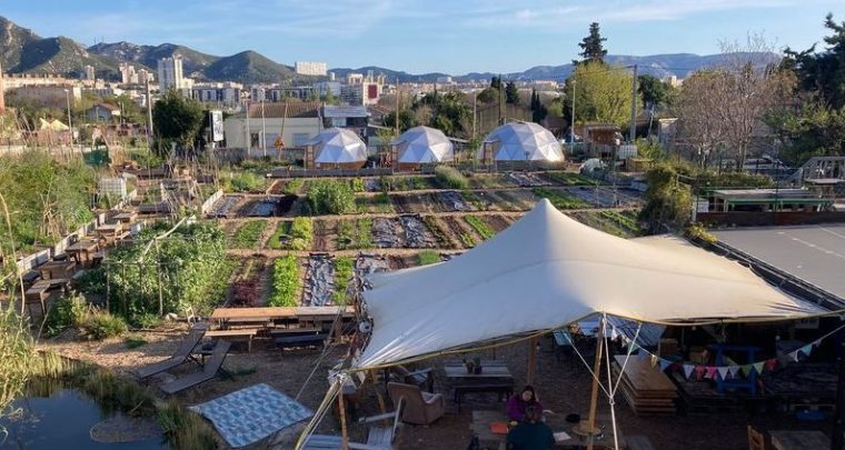 Atelier plantes de l'amour au Talus