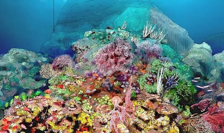 Penser à partir des paysages sous-marins