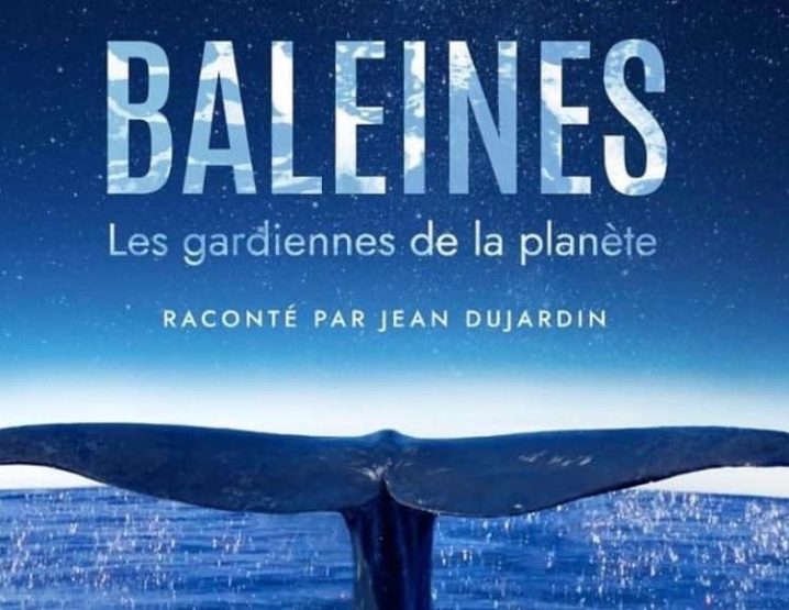 Baleines, les gardiennes de la planète