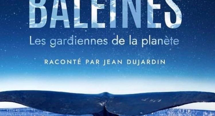 Baleines, les gardiennes de la planète