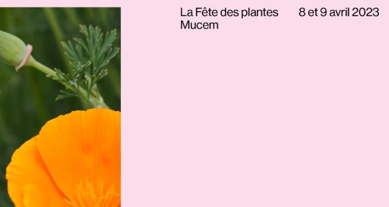 La Fête des plantes au MuCEM