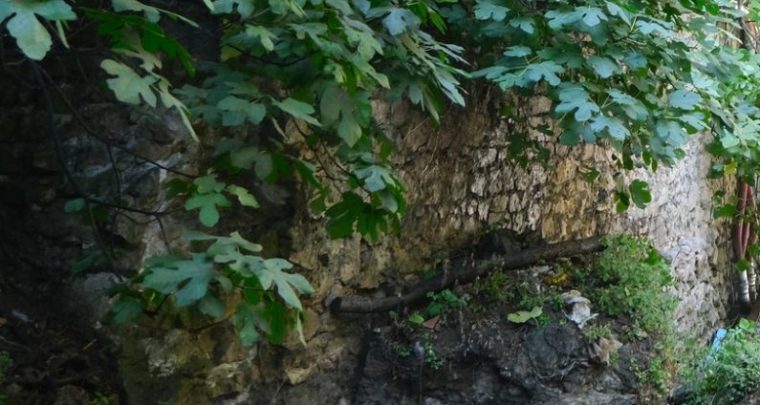 Un dimanche aux Aygalades