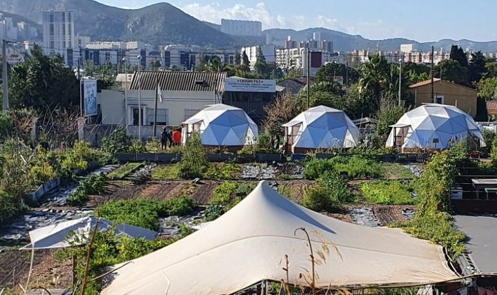 Lacto-fermentation à la ferme urbaine Le Talus