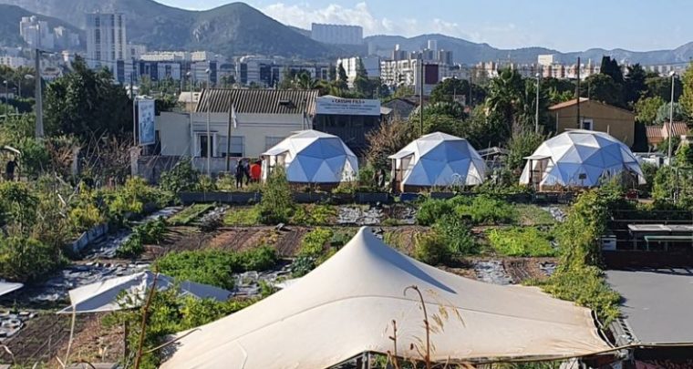 Lacto-fermentation à la ferme urbaine Le Talus