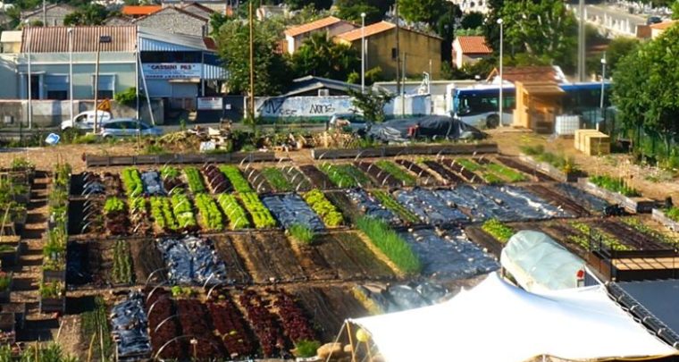 Marché créatif à la ferme urbaine Le Talus