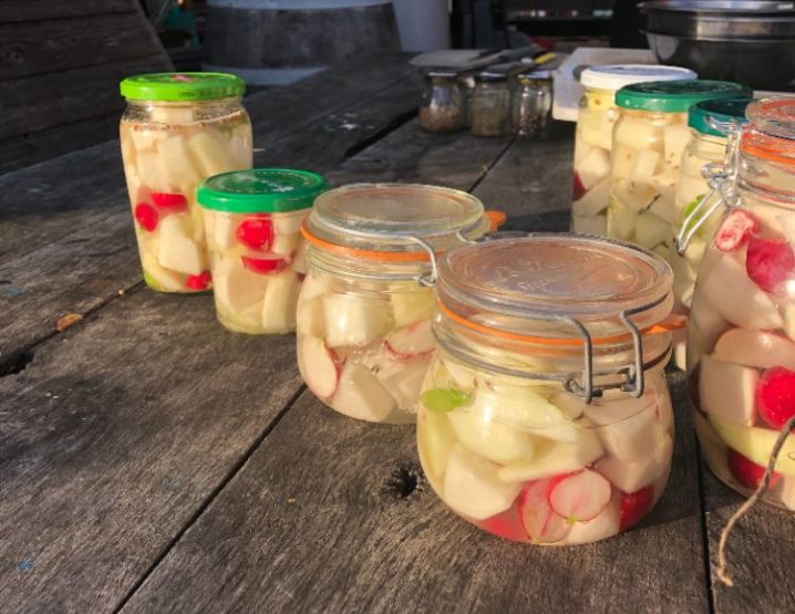 Qu'est-ce que la lacto-fermentation ?