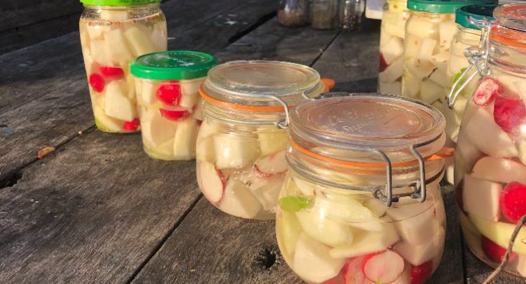 Qu'est-ce que la lacto-fermentation ?