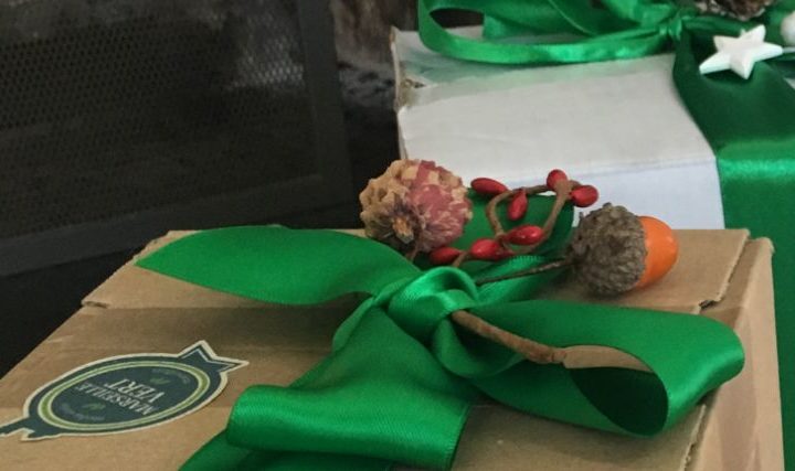 Les cadeaux de Noël de Marseille Vert