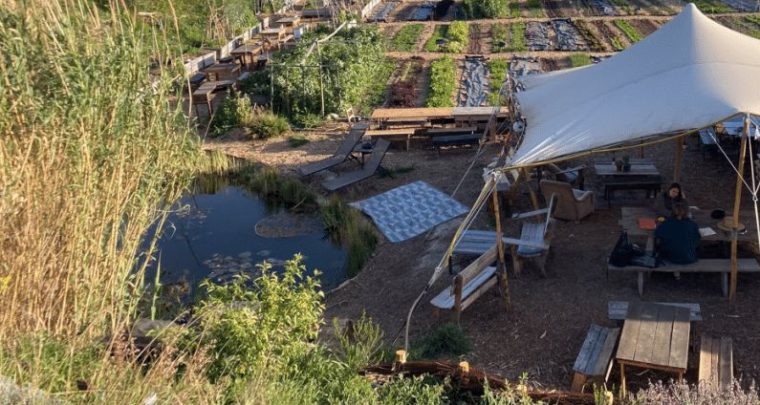 Paysages méditerranéens à la ferme urbaine le Talus