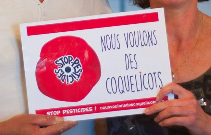 NOUS VOULONS DES COQUELICOTS