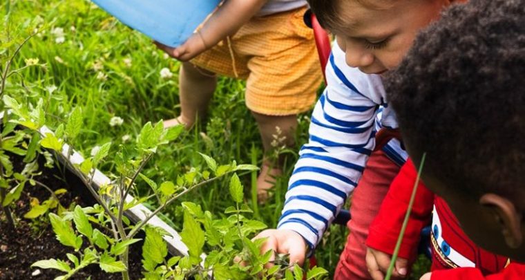 La démarche des écolo-crèches avec Label Vie