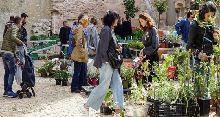 C'est la Fête des plantes au MuCEM