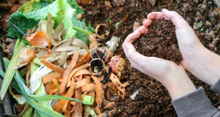 Tous au compost en région PACA