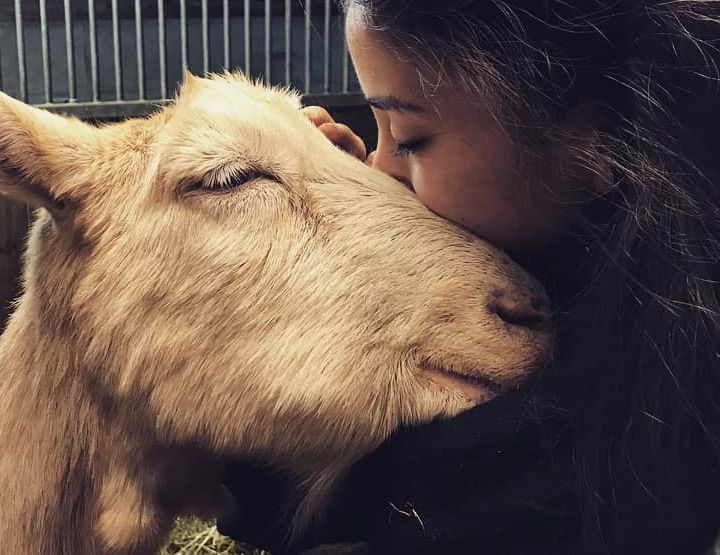 Virginia Markus, coexister avec les animaux