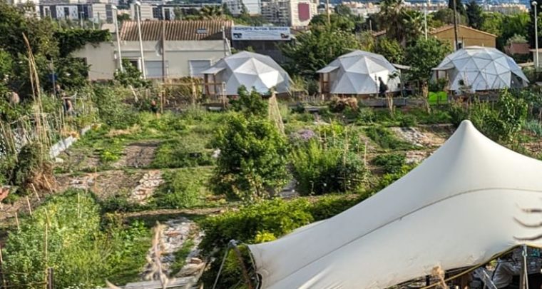 Chantiers participatifs à la ferme du Talus