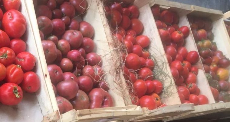 Les petits marchés de la ferme du Roy d'Espagne