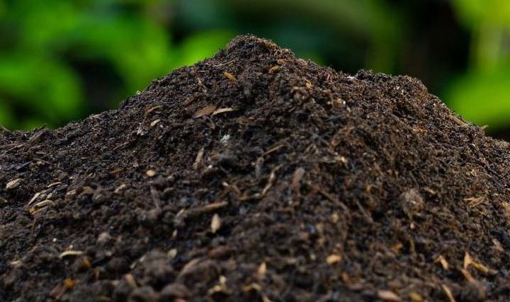 Tous au compost en région PACA le 29 mars