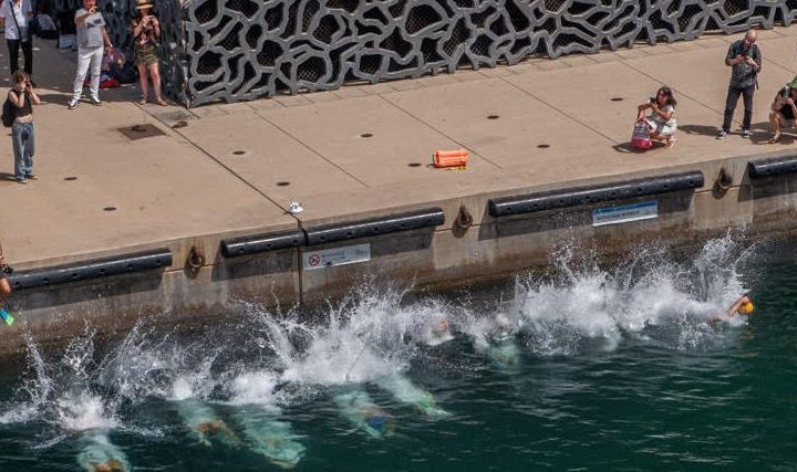 Plouf au Mucem avec les Libres Nageurs