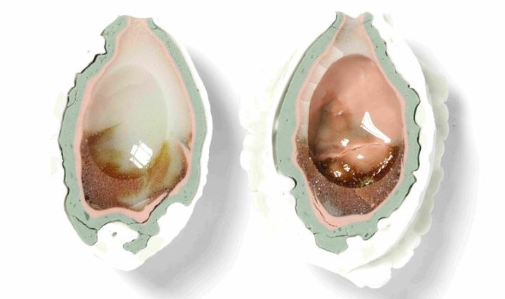 Masterclass sur le thème du feu avec Materia Incognita