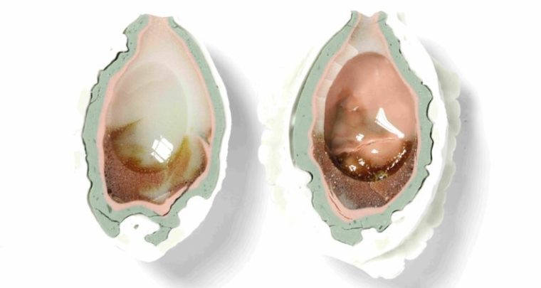 Masterclass sur le thème du feu avec Materia Incognita