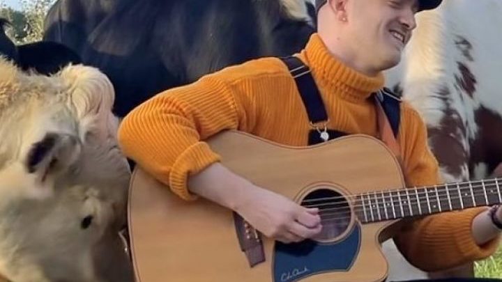 Plumes chante pour les animaux