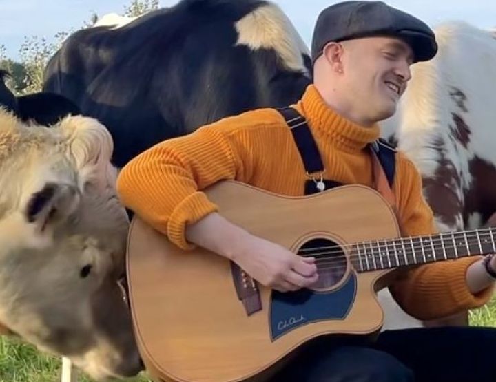Plumes chante pour les animaux