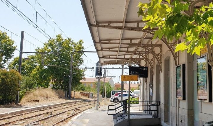 L'été marseillais côté jardin à la Blancarde