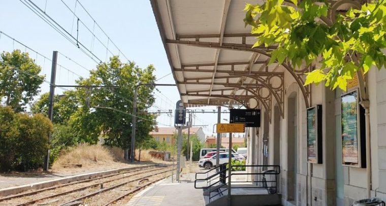 L'été marseillais côté jardin à la Blancarde