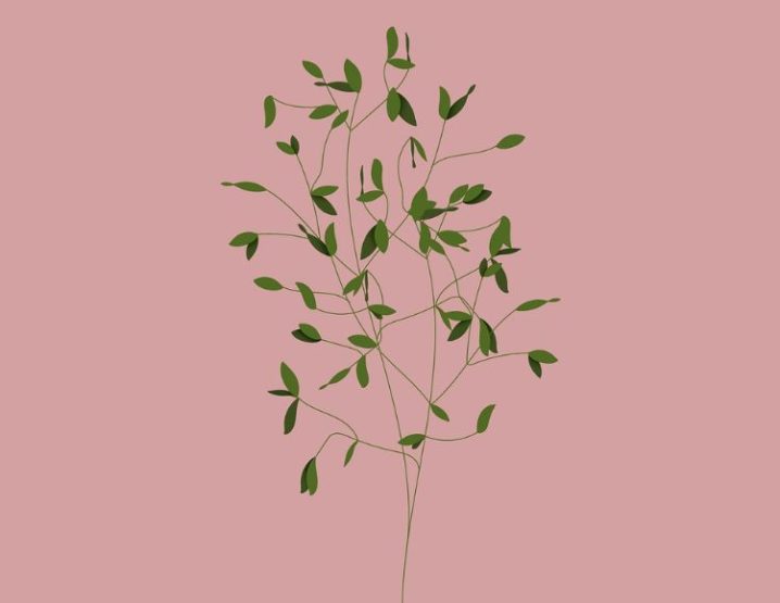 Une Naissance, un Arbre