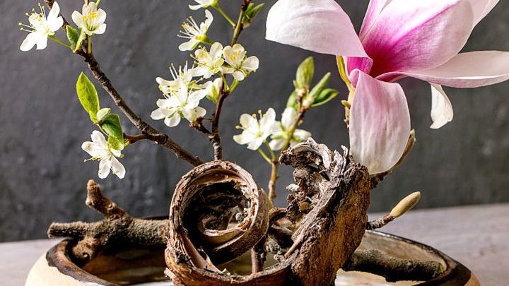 L’Ikebana, l’art de sublimer les fleurs