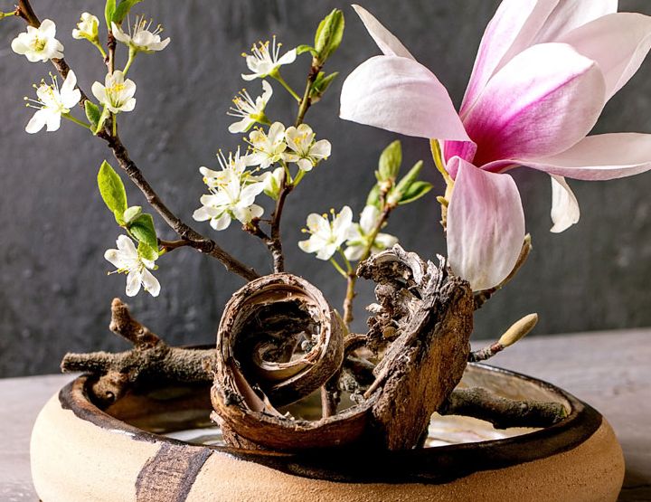 L’Ikebana, l’art de sublimer les fleurs