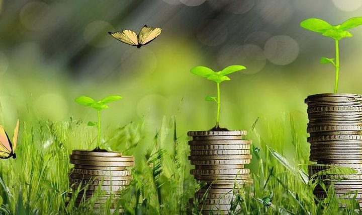 Les Rencontres de la Finance verte de Gomet'