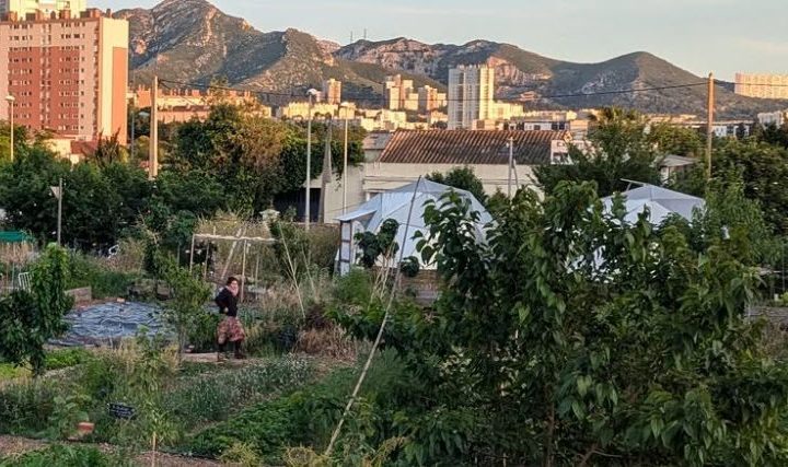 Atelier constituant à la ferme urbaine du Talus
