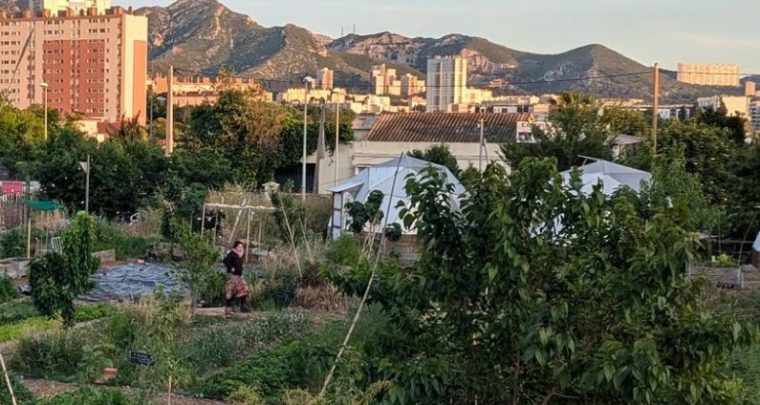 Atelier constituant à la ferme urbaine du Talus