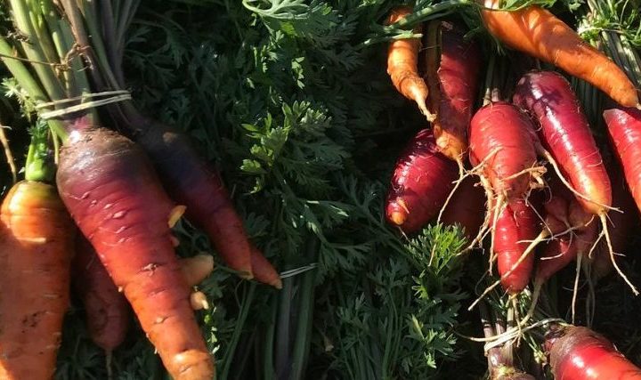Marché de Noël à la ferme du Roy d'Espagne