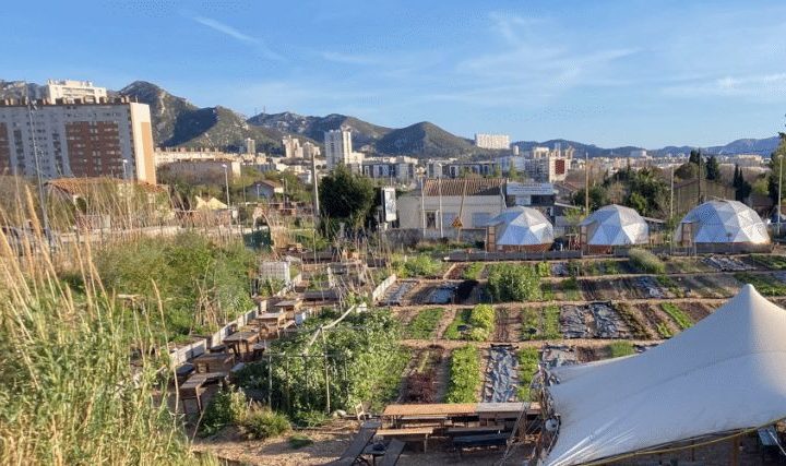 La forêt en ville à la ferme le Talus