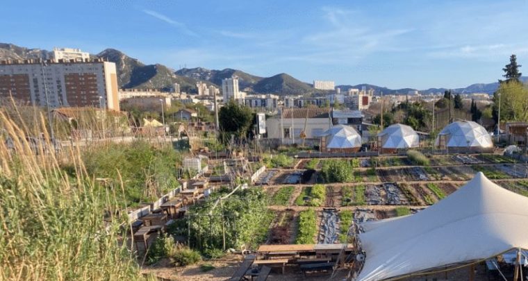 La forêt en ville à la ferme le Talus
