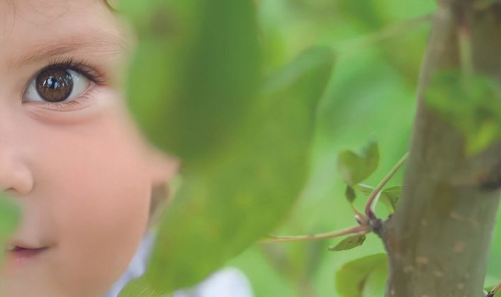 Les Coccinelles d'Or avec Label Vie