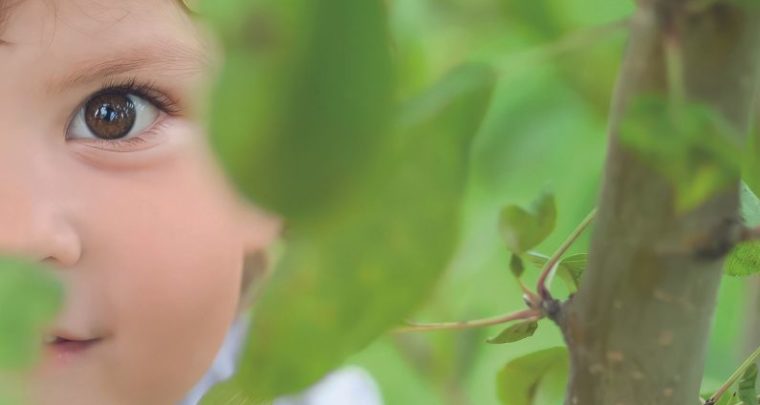 Les Coccinelles d'Or avec Label Vie