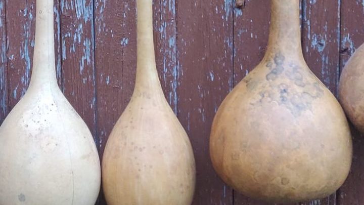 Jérôme Désigaux, paysan-luthier