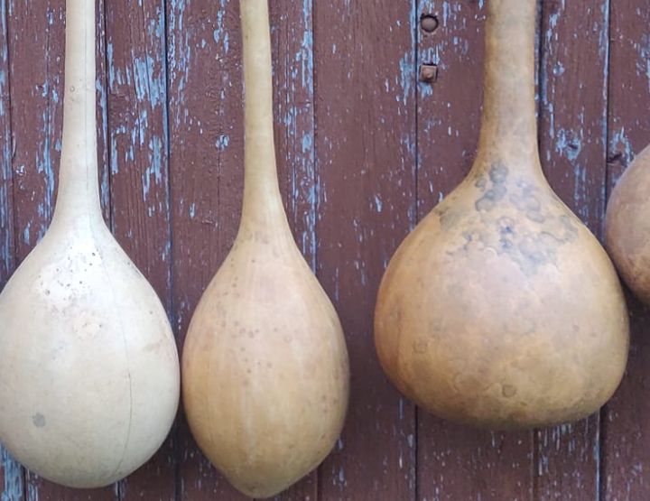 Jérôme Désigaux, paysan-luthier