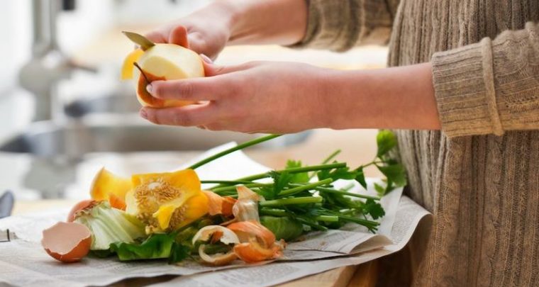 Repenser nos assiettes avec Le Récif