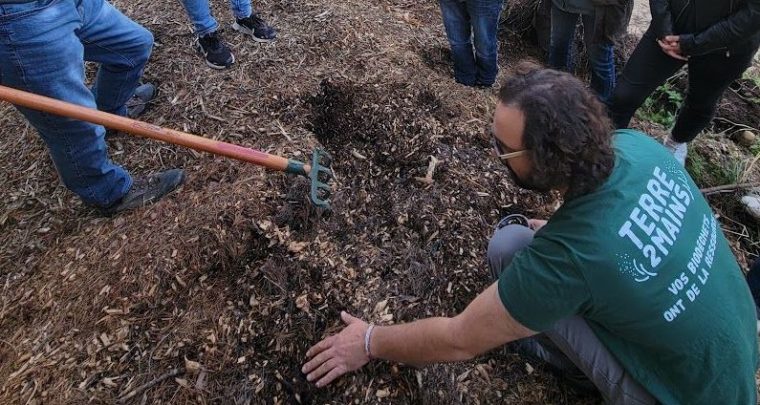 Tous au compost avec le Réseau Compost Citoyen