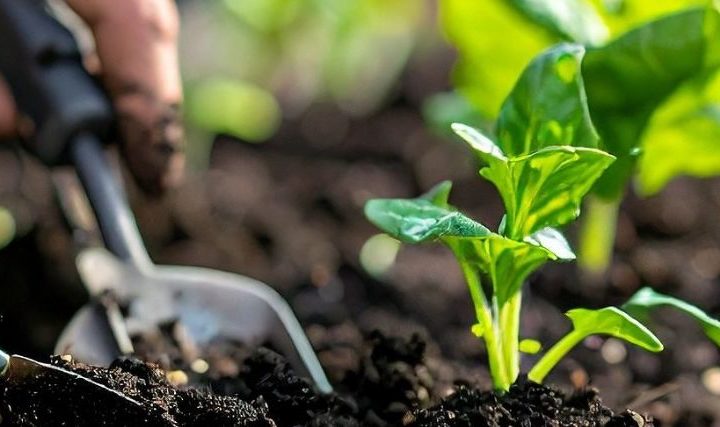 Les 72h de l'écologie avec la Cité des Transitions